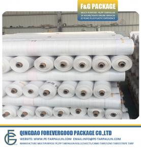 2x45M Clear Leno Tarpaulin Scaffold Sheeting