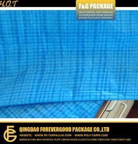 50gsm Light Blue Waterproof PE Tarpaulin