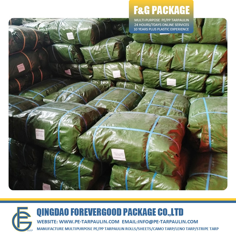 50~300GSM Waterproof Poly Tarp for Covering.jpg