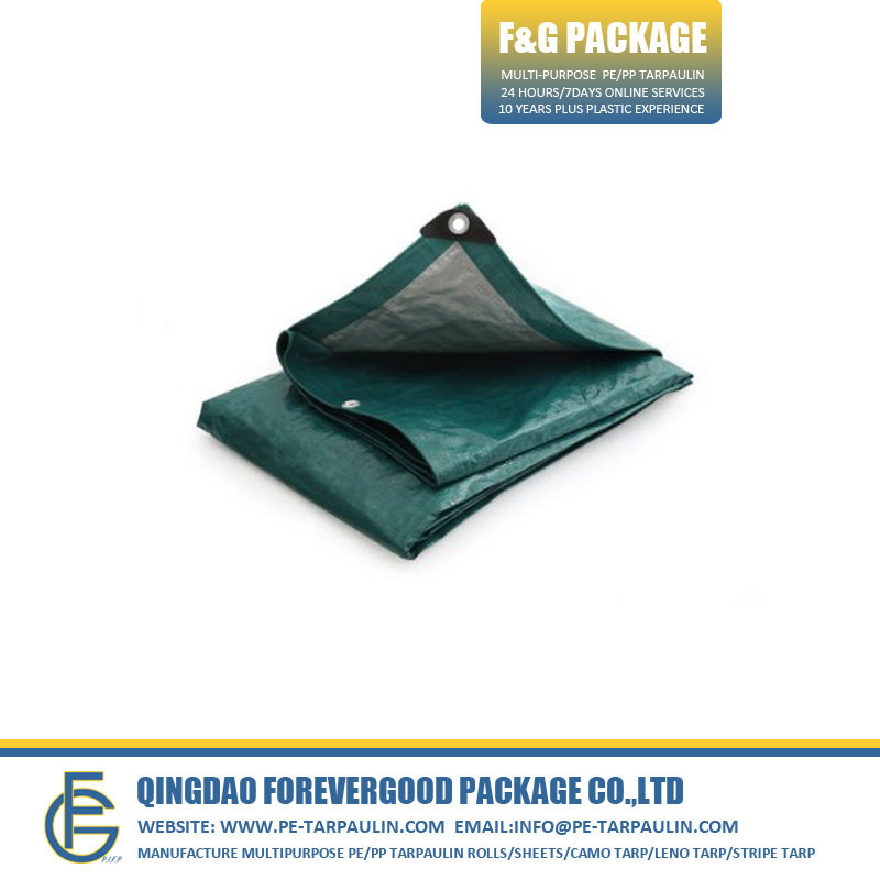 Heavy Duty Silver Green 10Mil PE Tarpaulin Sheet (2).jpg