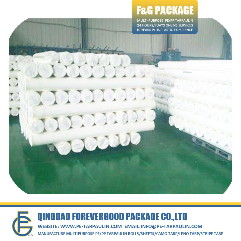 Manufacture PP Woven Fabric Tarpaulin Roll.jpg