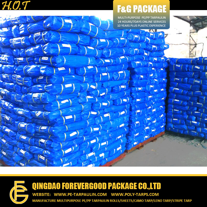 Blue Coated Waterproof China Korea Quality PE Tarpaulin.jpg