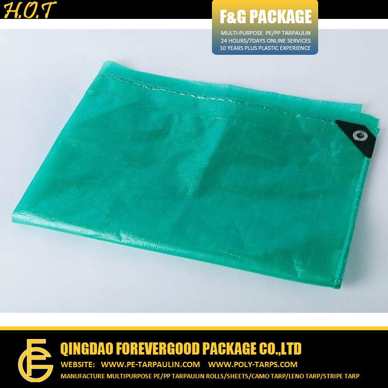 Green PE Tarpaulin Sheet For Boat Use.jpg